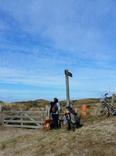 Wanderweg durch die Dünen