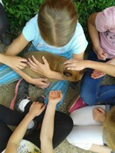 Besuch in der Grundschule